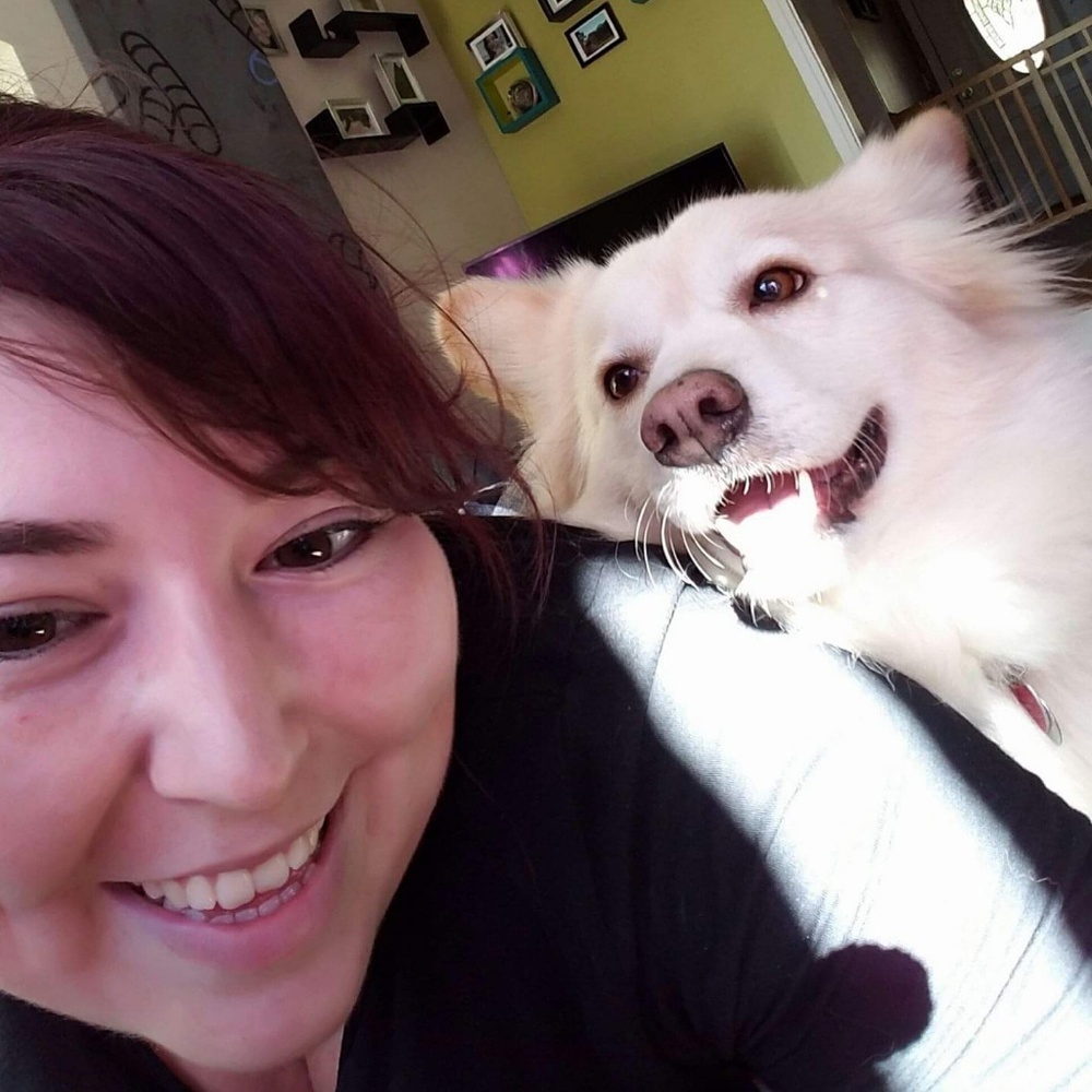 Meet your posher, Sam 🤗